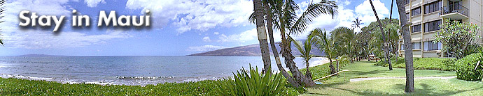 Stay In Maui : Kihei